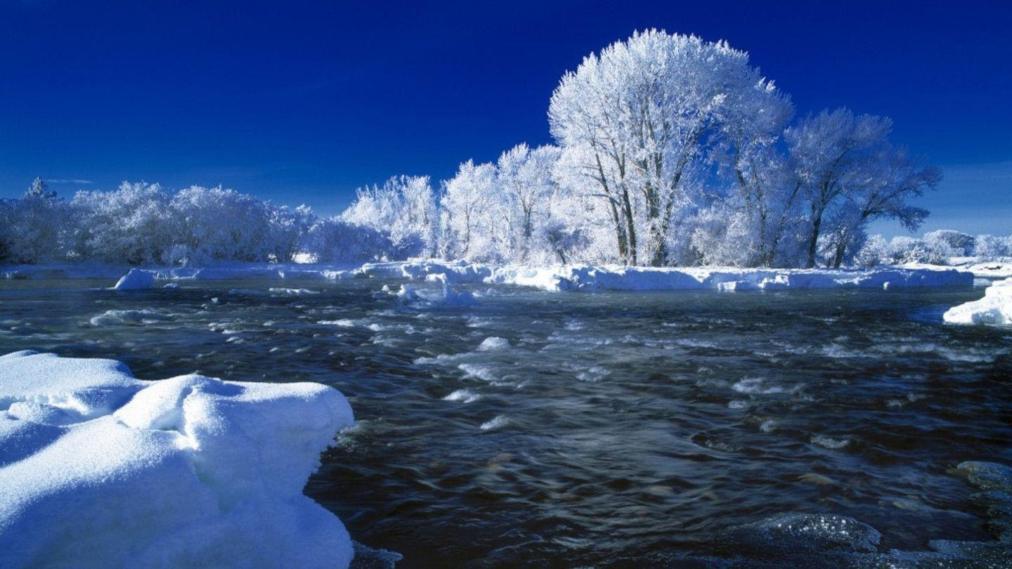 Winter Screensavers And Wallpapers  Wallpaper Cave