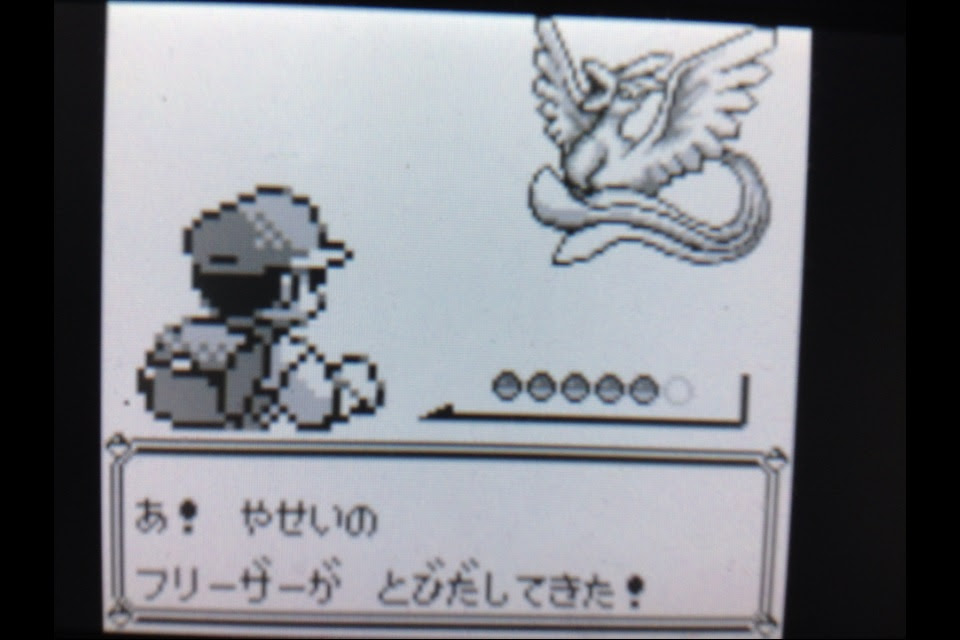 ポケットモンスターを遊びつくす日記 Ex うさぎの隠れ家
