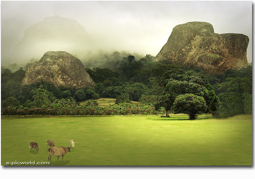 foggy hill composite image