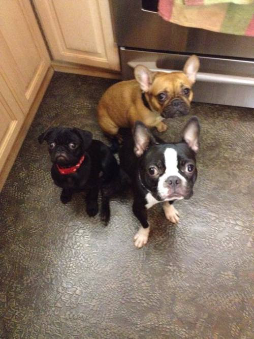 Photo prom dress February 10, 2015 at 03:28AM