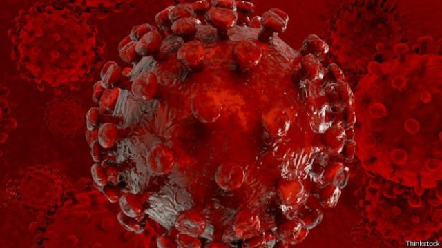 Testes com nova vacina indicam proteção total contra vírus HIV