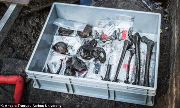 Bundles of bones, bones bearing marks of cutting and scraping, and crushed skulls were also found at the site