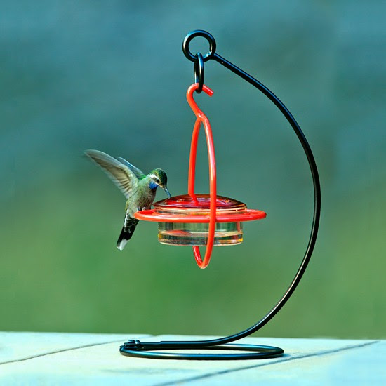 Sphere Hummingbird Feeder Red with Perch and Tabletop Stand