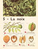 delagravchoses5