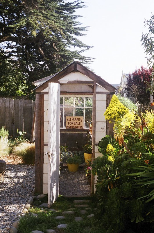 General Store - San Francisco