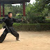 Wushu Tradicional - Bajiquan, Sanda, Baguazhang, Xingyiquan y Taijiquan 