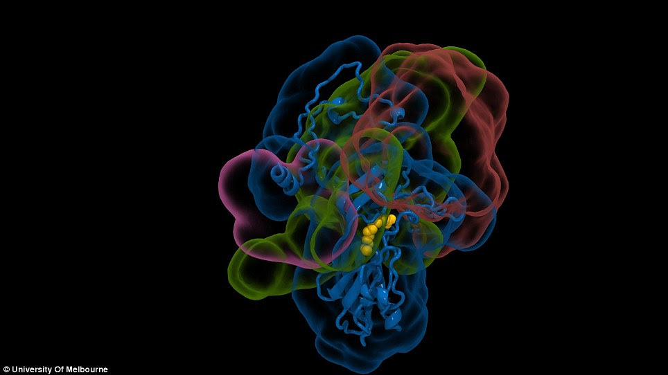 cell
