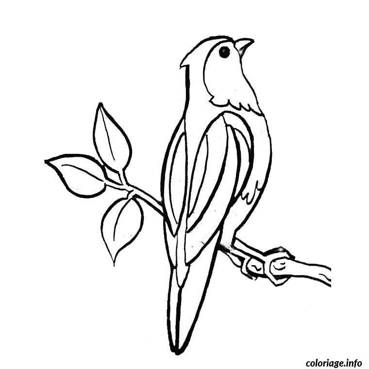 Coloriage Oiseau Perche Jecoloriecom