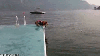 I Must Go My Planet Needs Me Gifs