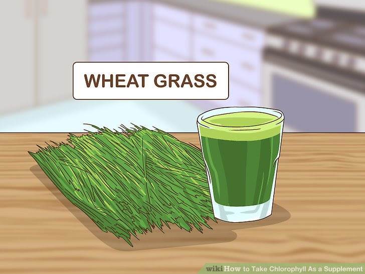 Take Chlorophyll As a Supplement Step 8.jpg