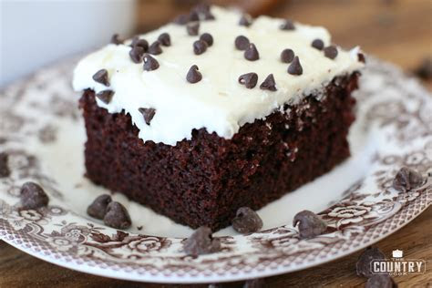 bowl chocolate cake  creamy frosting  country