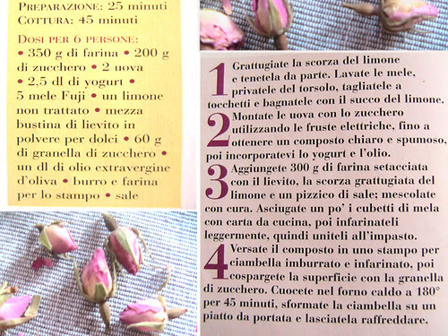collage3Ciambella allo yogurt e olio d'oliva
