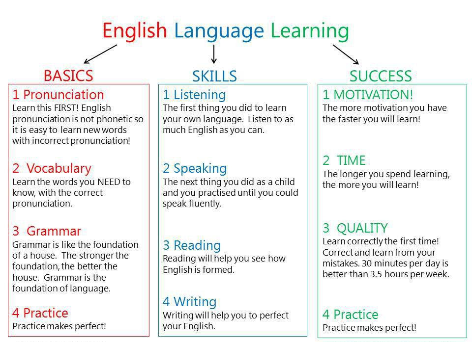 Adults | My English Blog