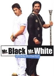 2008 Mr. White Mr. Black box office full movie >1080p< online