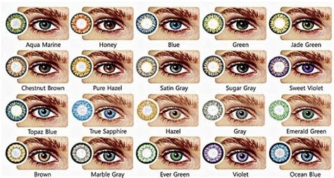  eye color chart what color eyes will my baby have curious if your
