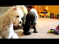 Видео Nikon D3100 HD 1080p Test Video - Cinematic Test