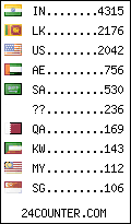 visitors by country counter