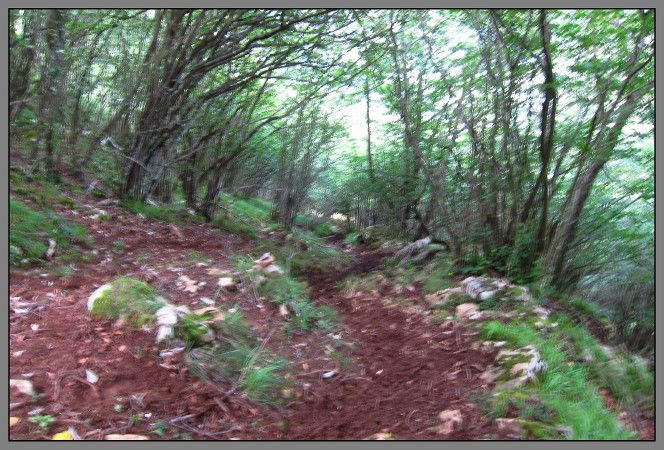  photo IMG_4441_zps044a4de0.jpg