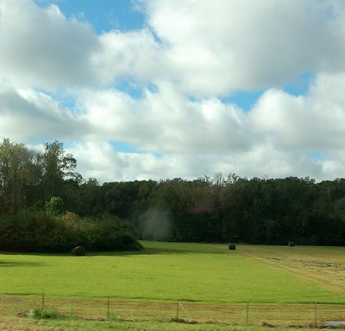 DSC_0023p