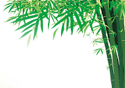 18+ Bamboo Png Transparent