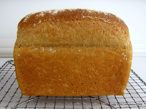 Anadama Bread