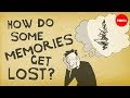 Common Memory Lapses