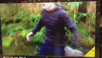 image host