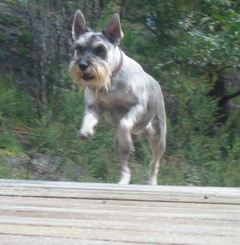 You want to mess with me?