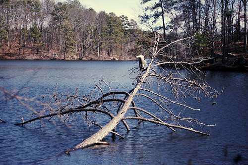 naturetwelve