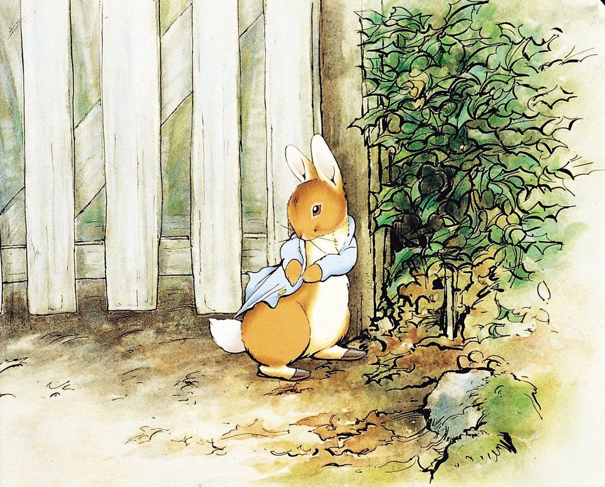 ピーターラビットの画像 原寸画像検索
