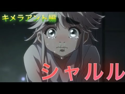 ハンター キメラアント アニメ