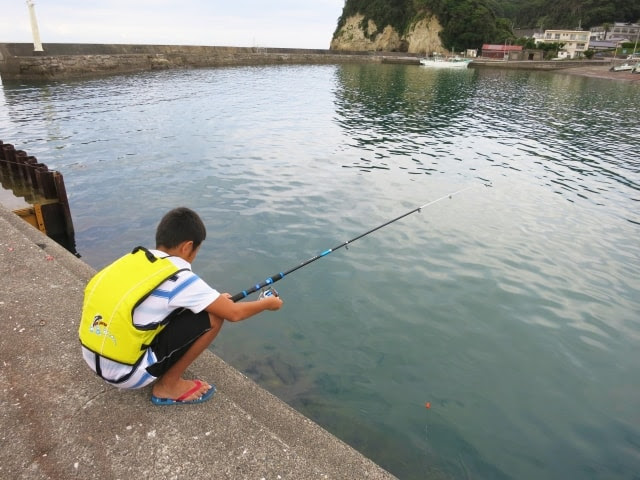 初心者向け 釣り本おすすめ10選 海釣り 川 池など まるちらいざぁーランキング