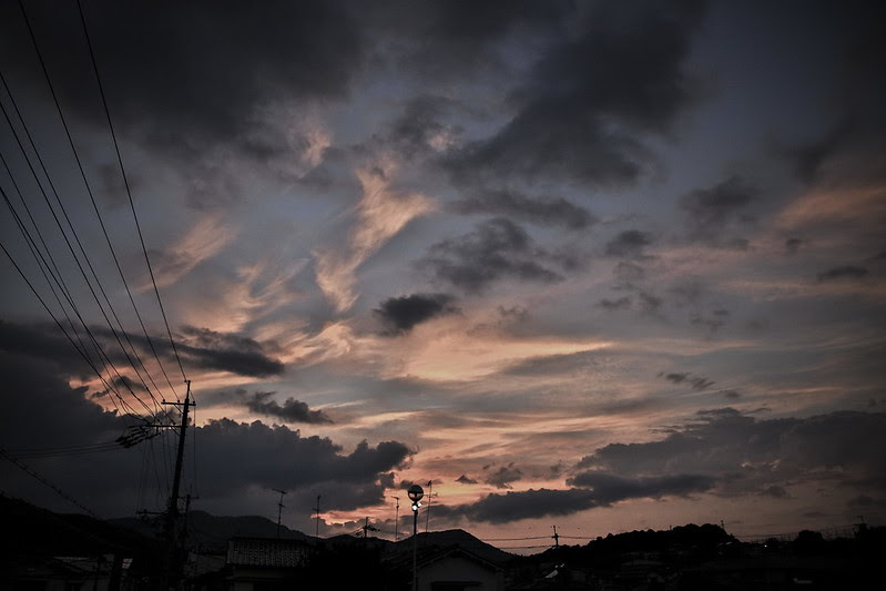 夕立の後