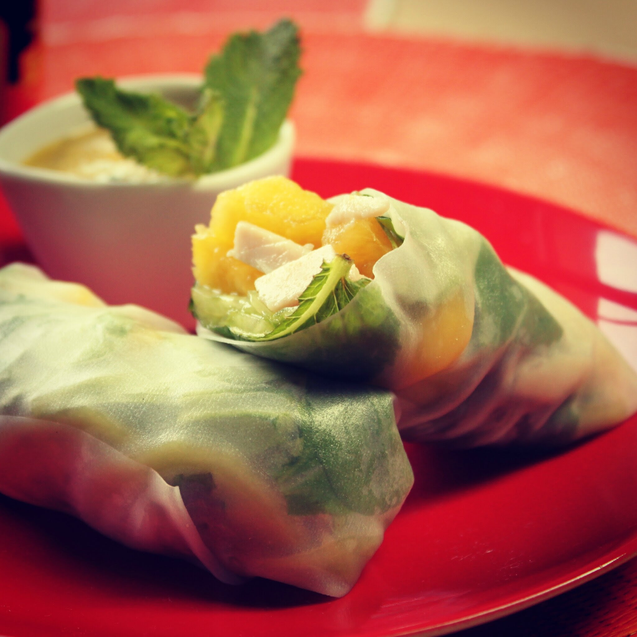 rouleaux printemps 1
