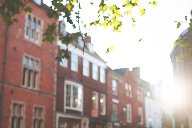 sunlight