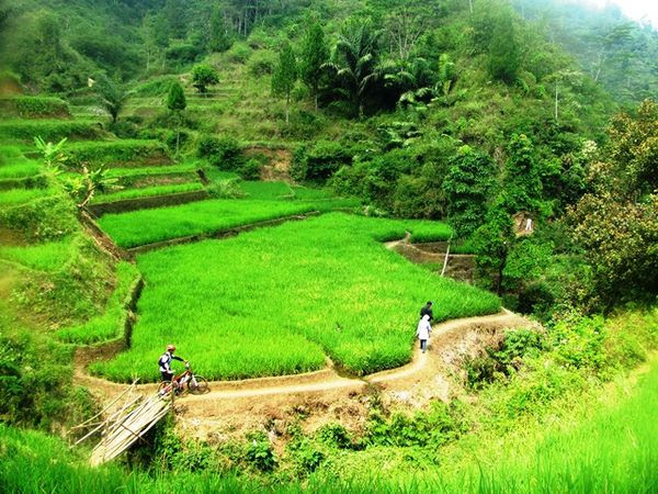 Puisi Diah Keindahan alam Puisi Diah Keindahan alam