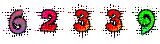 Web Page Hit Counter