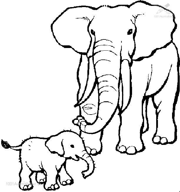 Elefant Ausmalbild
