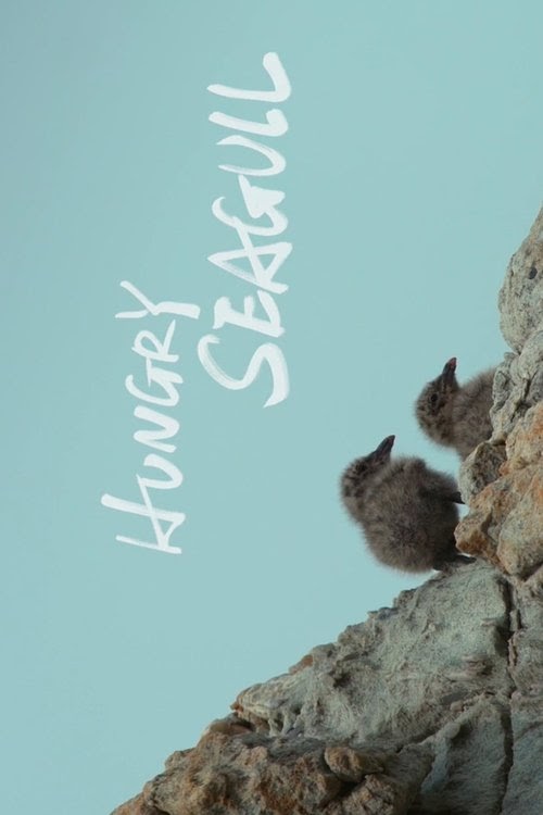 Hungry Seagull Streaming Complet VF 2019 En Ligne Regarder Cinema FR
Subs Francais Box Office