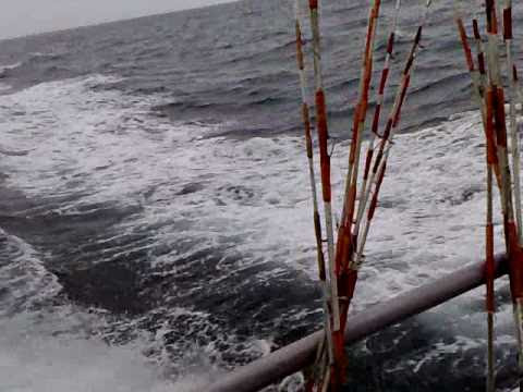 Port Aransas Deep  Fishing Trips on Deep Sea Fishing Trip  Port Aransas  Tx  Clip 4  03 37