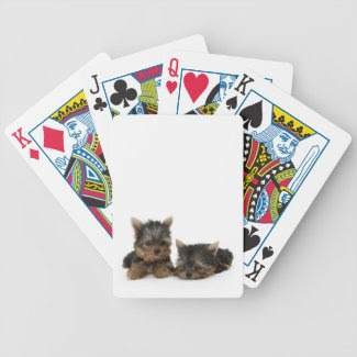 Yorkshire Terrier Puppies Playing Cards