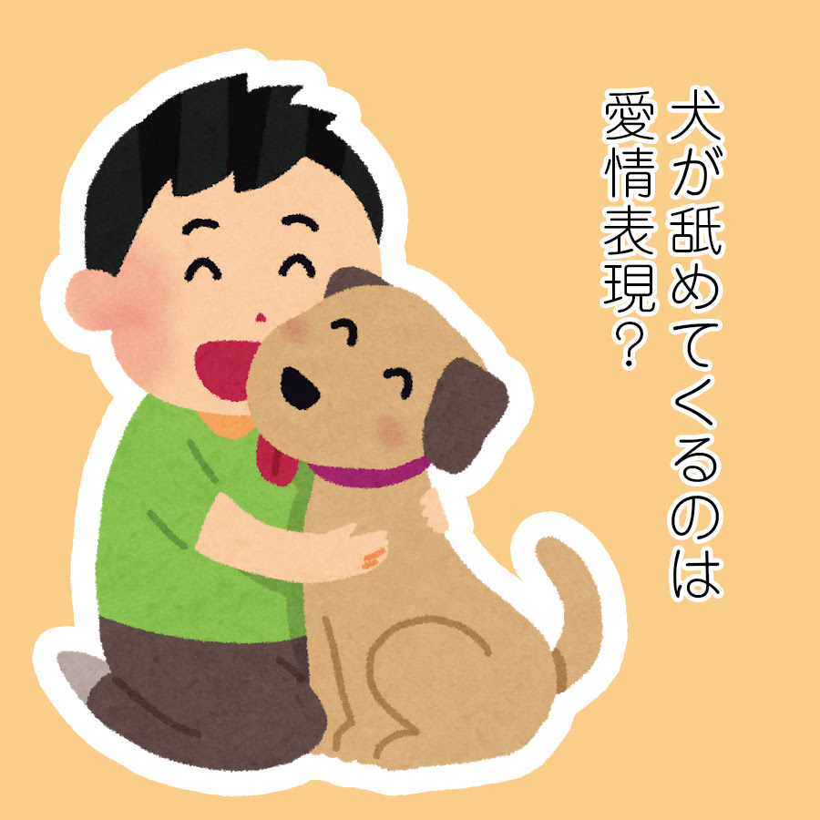 犬が舐めてくるのは愛情表現 部位によって意味が違うって本当