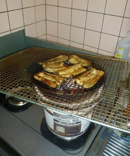 食料捕獲作戦 天然ウナギの炭火焼き