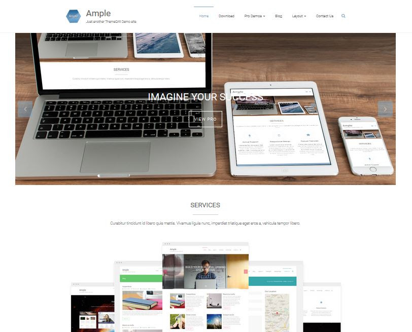 free responsive wordpress themes ample