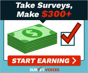 Paid Online Focus Group on SODA ($300)