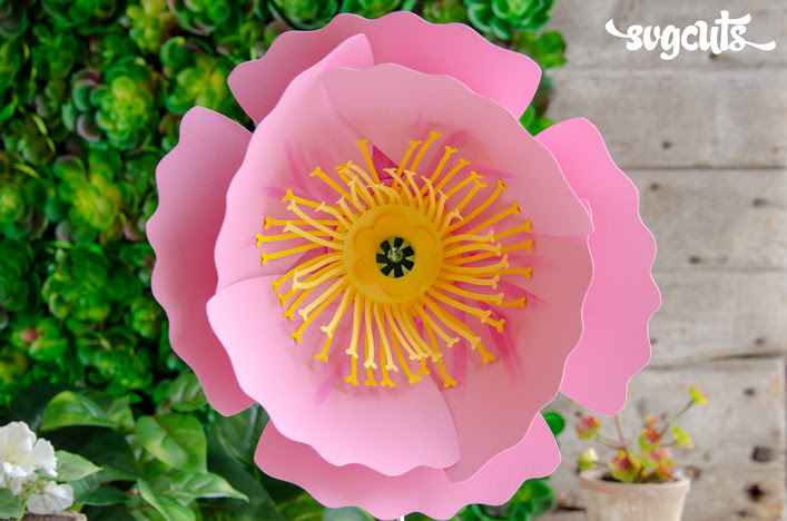Free Free 224 Poppy Flower Svg Cutting File SVG PNG EPS DXF File