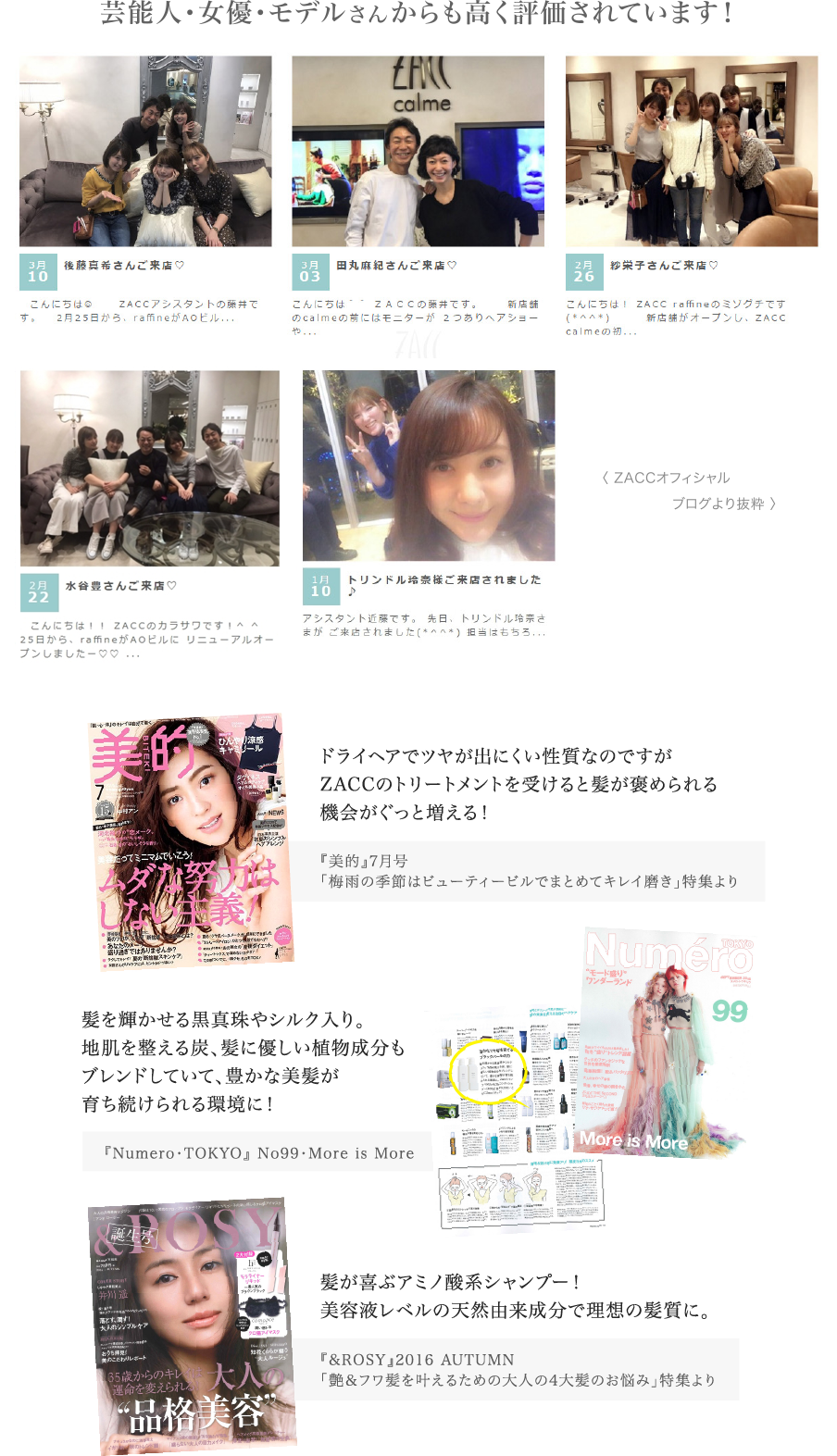 芸能人御用達美容室 Zacc 監修のパールリッチシャンプーの口コミが最強な件 Nanaのweddingblog