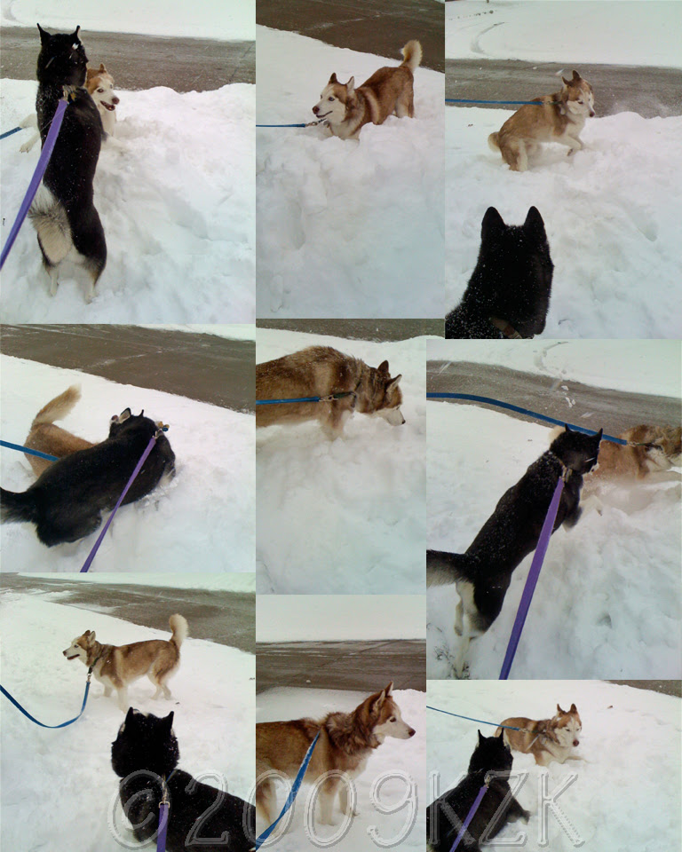 CollageBoysSnow8DEC09