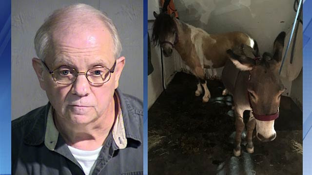 Pennsylvania horse sex sting Animals not designed as sex 