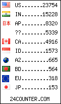 visitors by country counter